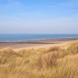 Oostende,,North,Sea.,Dunes,And,Beach,On,Belgian,North,Sea